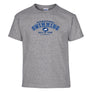Swimming Hall of Fame Youth Tee Shirt Gray ISHOF Swimming Hall of Fame Swimming World