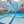 strechcordz Stationary Swim Trainer S121 ISHOF Swimming Hall of Fame Swimming World